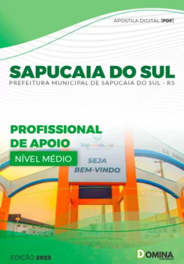 Profissional de apoio