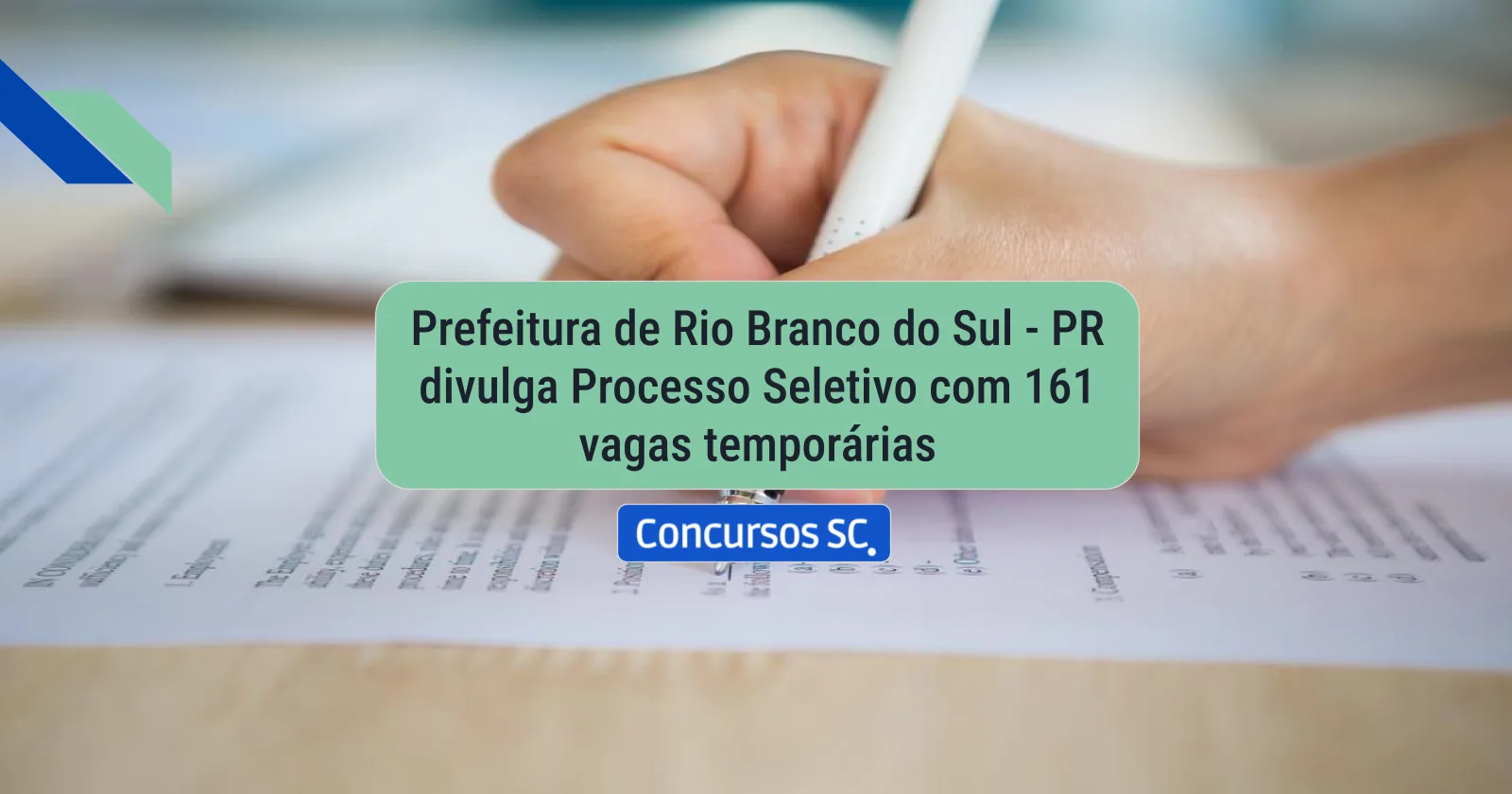 Imagem 313 png.webp.webp