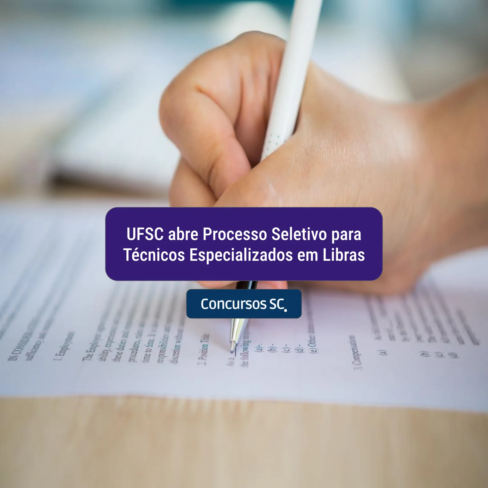 Imagem 358 png.webp.webp