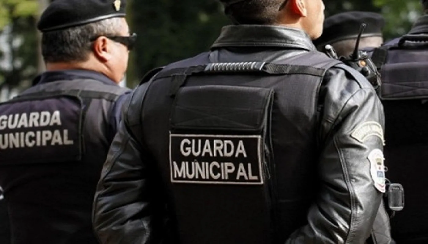 Mandaguari.webp.webp