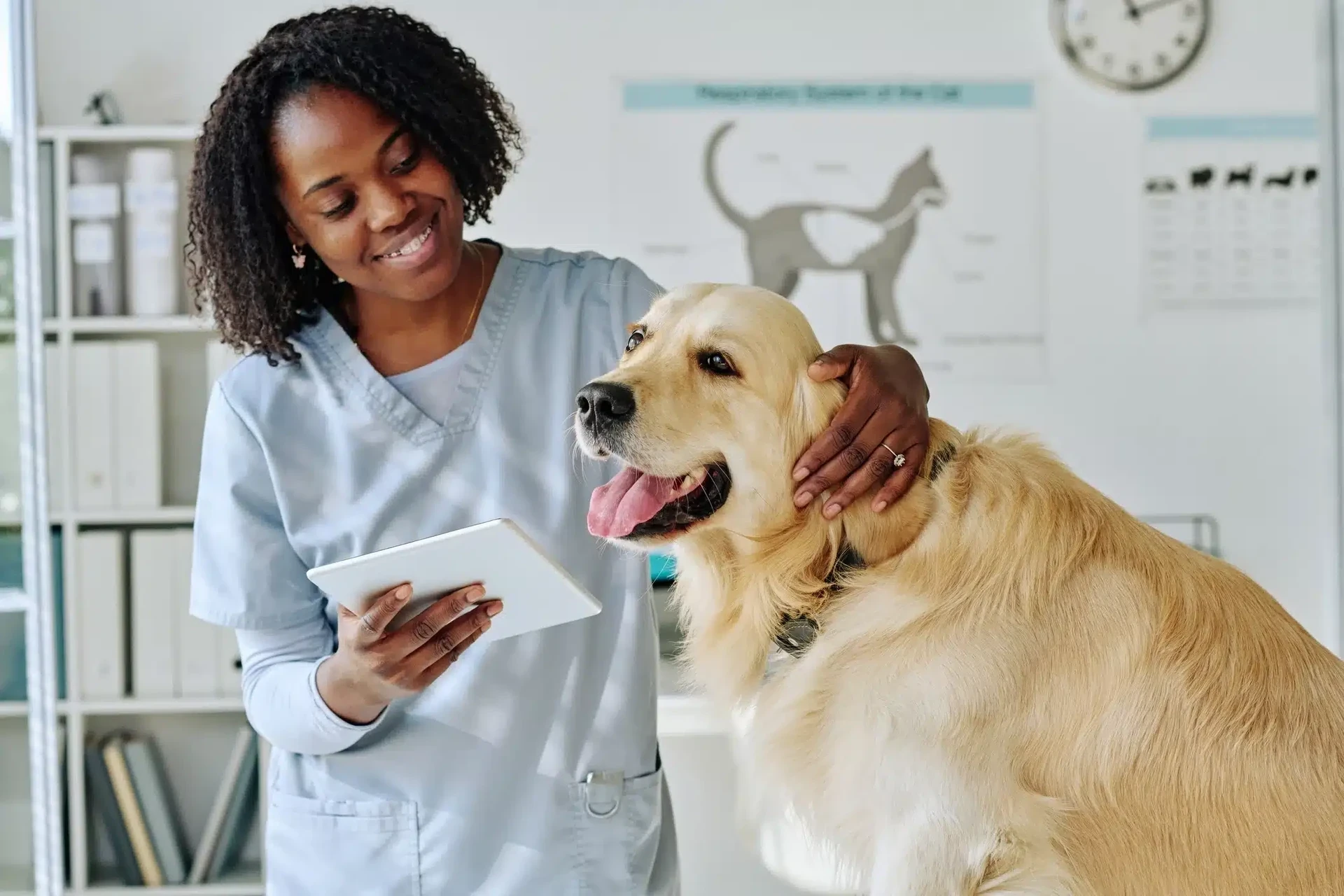 Profissoes para quem gosta de animais imagem saiba qual facul 49fnxve.webp.webp