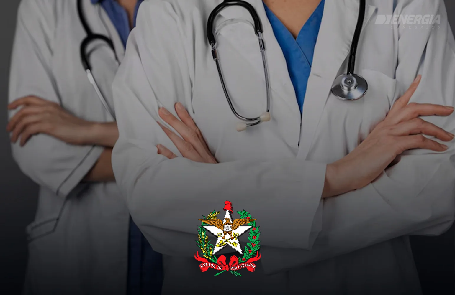 Banner ses sc.webp.webp