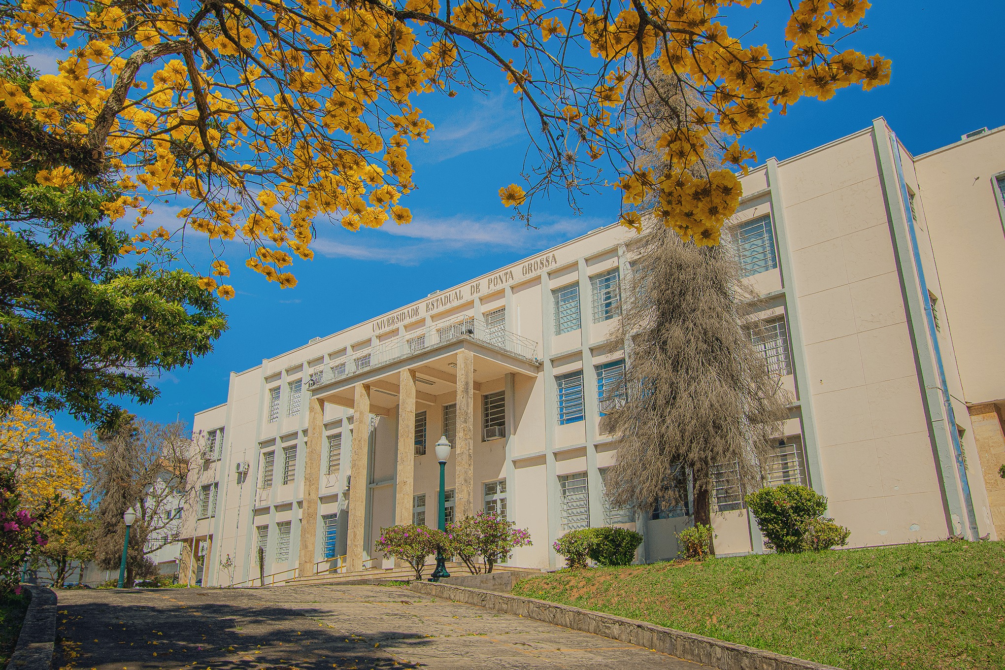 Uepg oferece 12 cursos gratuitos com certificado.jpg