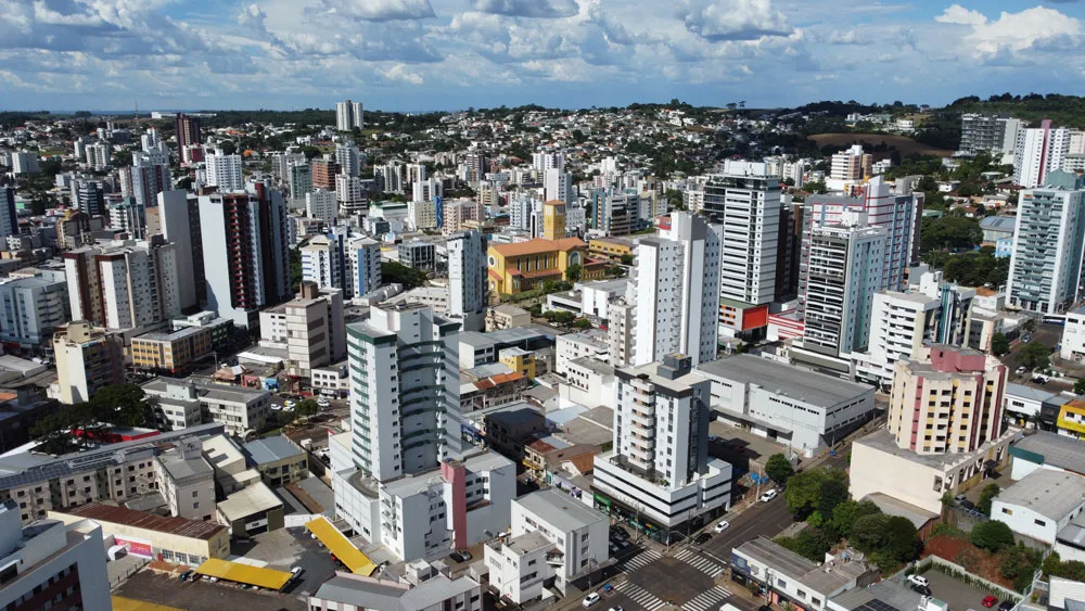 Pato branco.webp.webp